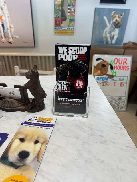 Our first flyers