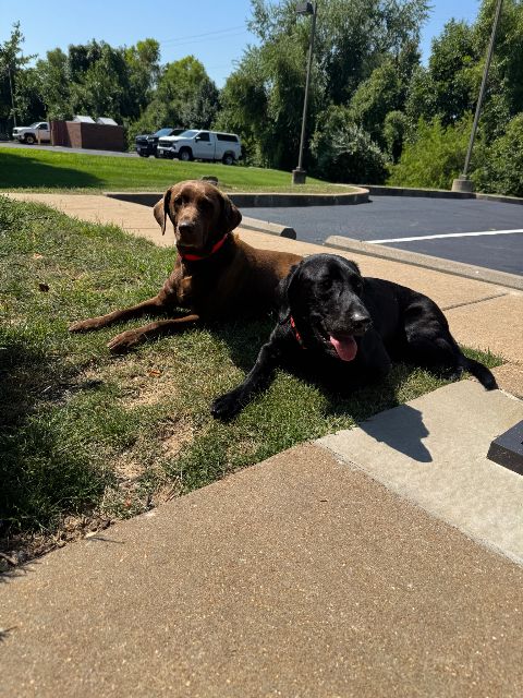 Max and Simon