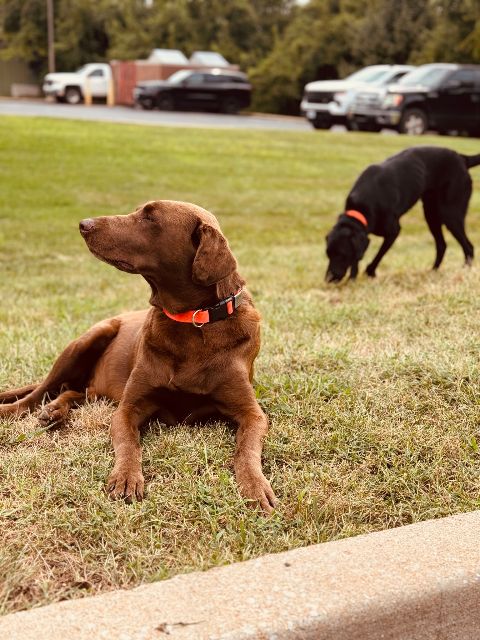 Max and Simon