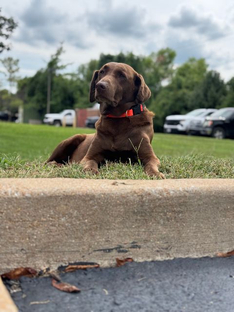 Max posing